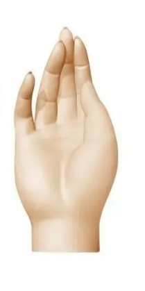 Grace Hand Sculptural Soy Wax Home Decor Candle
